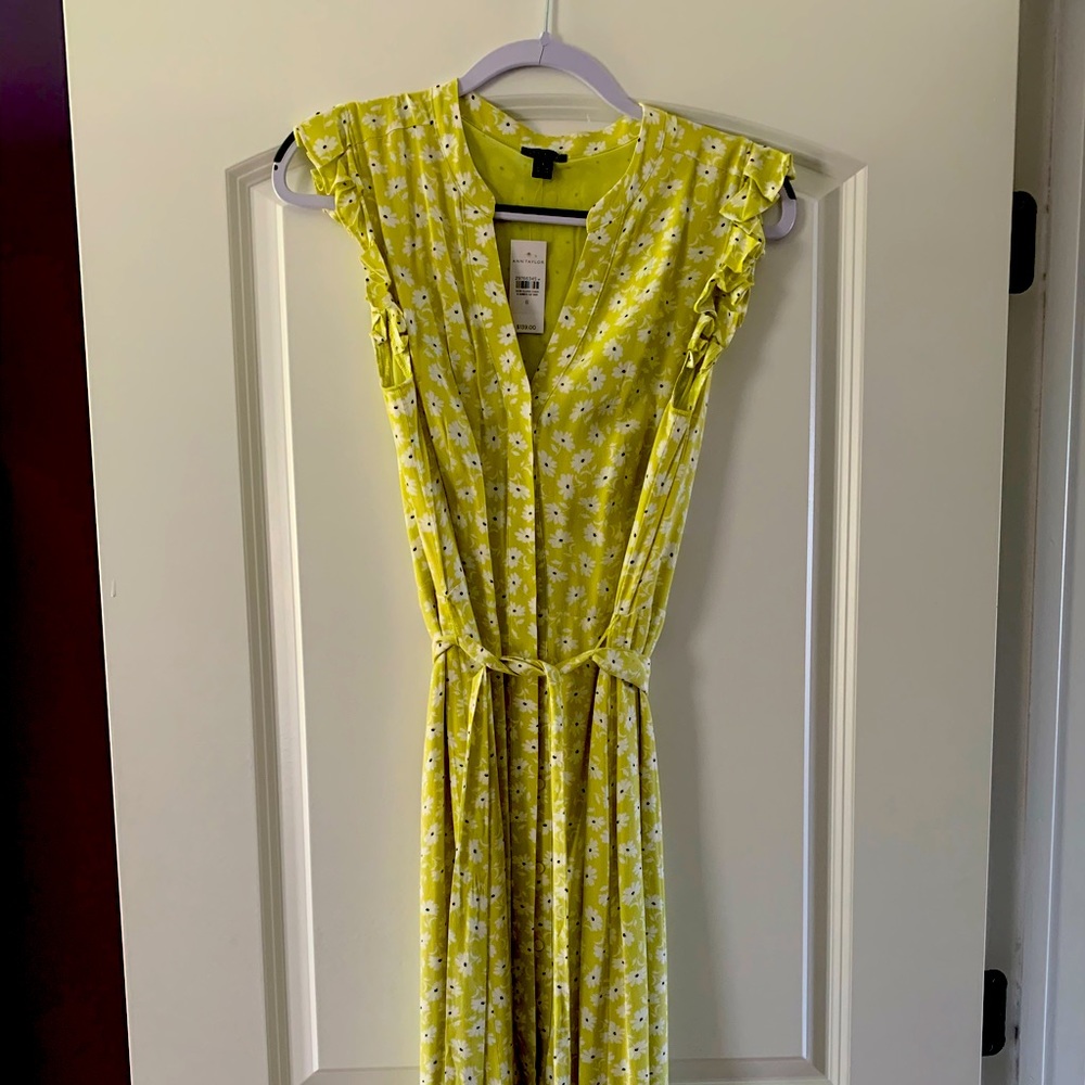 Ann Taylor Dress